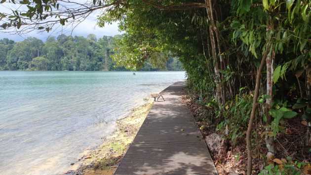 macritchie 5