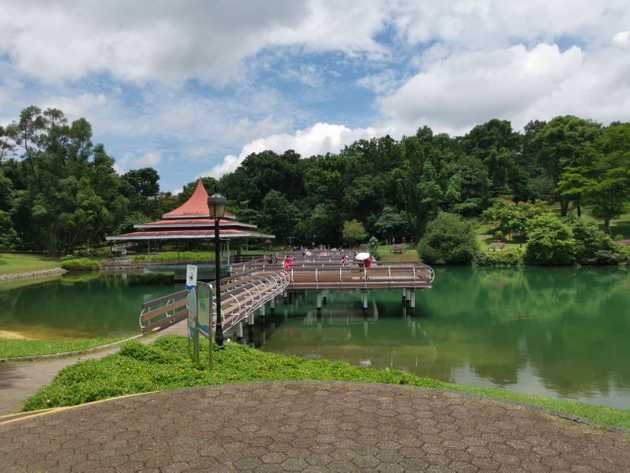 macritchie 1