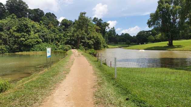 macritchie 3